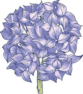 花卉矢量元素