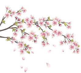 桃花矢量素材1