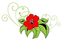 紅色的花