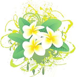 精美花朵banner矢量素材1