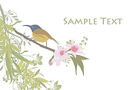 摘要說(shuō)明有許多美麗的花
