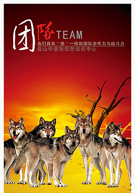 與狼共舞
