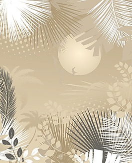 夏天的插圖