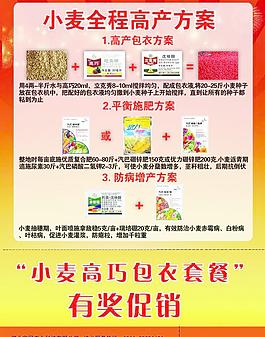 小麥全程高產方案圖片