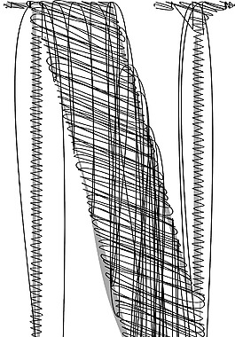 手绘字体矢量插画