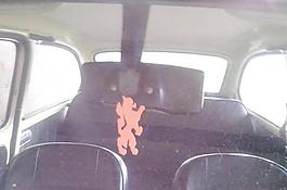 橙色車鏡獅子（2014世界錦標(biāo)賽）