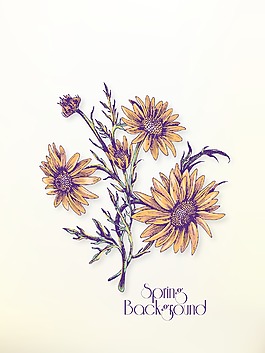 与花束花卉背景矢量插图