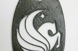 UCF標志的鑰匙扣
