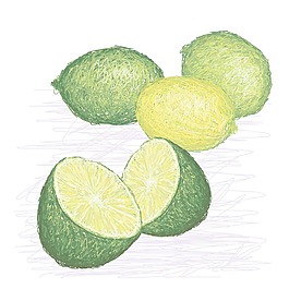 酸橙