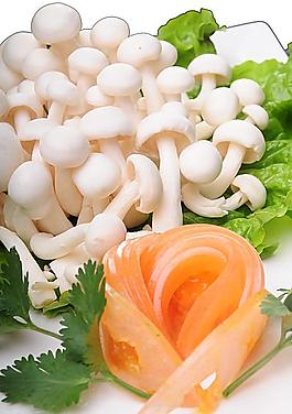白玉菇