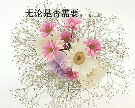 花的祝福PPT模板
