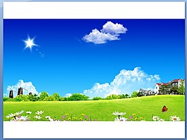 野菊花