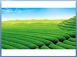 清新自然风光幻灯片背景图片