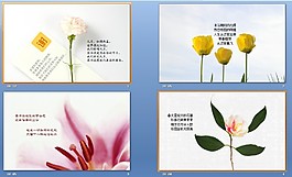 花卉幻燈片背景圖片