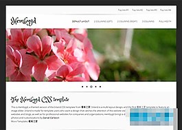 黑色精致小清新企業(yè)模板網(wǎng)站