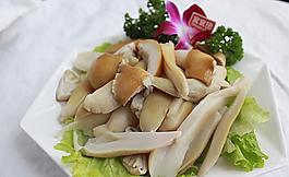 野山菌