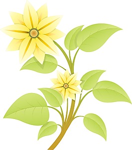 黃色的花設(shè)計(jì)