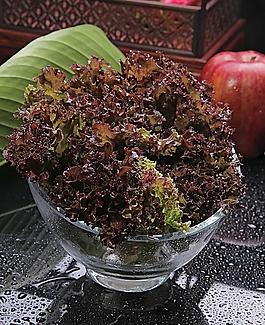 紫生菜