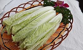 娃娃菜