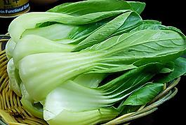 油菜