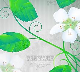 花朵背景矢量素材2