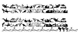 Orcas 另類字體