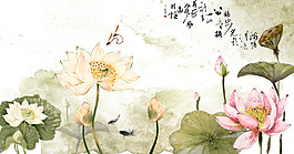 古風荷花素材