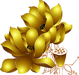 金色荷花