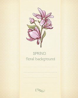 春天開(kāi)花的花卉背景矢量插畫(huà)