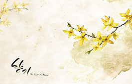 手繪迎春花