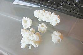 蛋白酶體裝配工具包