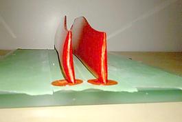 霸王龍的450 RC直升機(jī)旋翼葉片