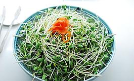 绿豆芽