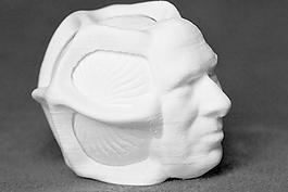 rollerhead # 1