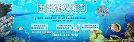 水族館游泳系列海報(bào)