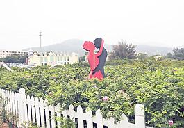 玫瑰園圖片