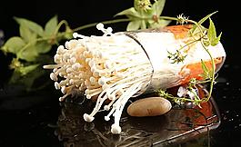 金針菇