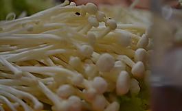 金針菇