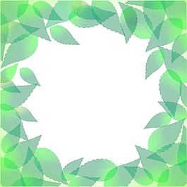 葉片結(jié)構(gòu)