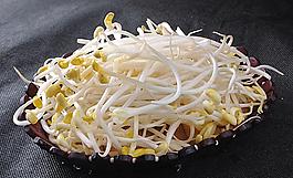 黄豆芽
