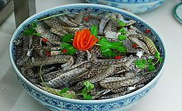 魚皮