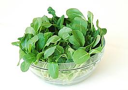 油菜