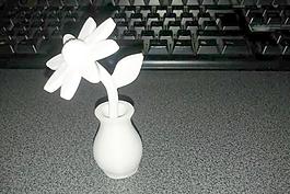 花的花瓶