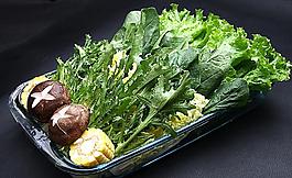 蔬菜拼盘