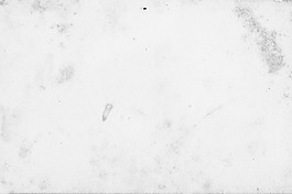 垃圾輕47紋理
