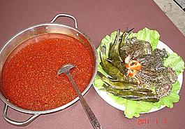戲水魚蛙