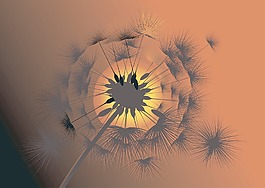 一個(gè)抽象的背景與花
