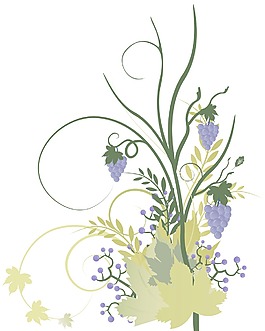 秋天的花卉插图