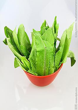 青菜