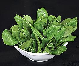 小油菜